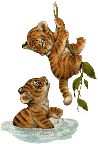 tiger STICKER