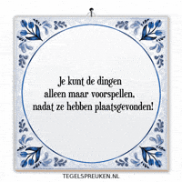 Humor Nl GIF by Tegelspreuken.nl