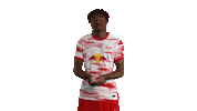 Oh Yeah Win Sticker by RB Leipzig