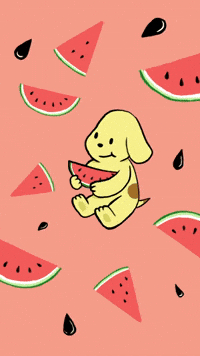 nextph yenlo GIF