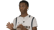 Western Connecticut State University Basketball Sticker by WCSU