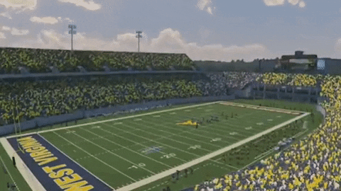 Ncaa Sports College GIF by WVU Sports