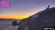 view love GIF by explore.org