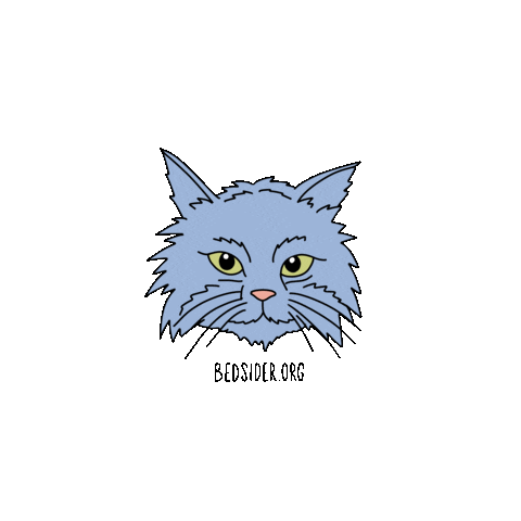 Cardi B Cat Sticker by Bedsider