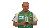 Handball-Bundesliga Fun Sticker by LIQUI MOLY HBL