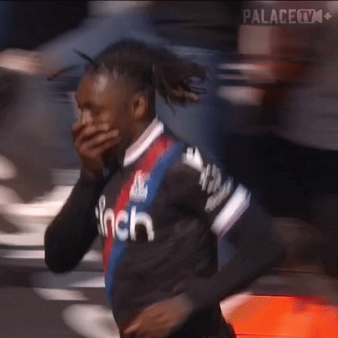 Premier League Oops GIF by Crystal Palace Football Club