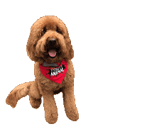 Doodle Woof Sticker