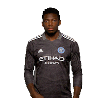 New York City Fc Reaction Sticker by NYCFC