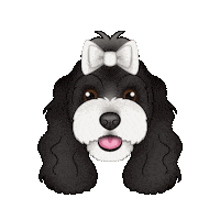 Rosie Cavoodle Sticker by zoopeez