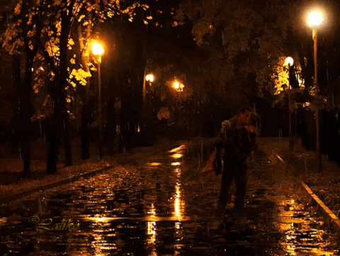 couples GIF