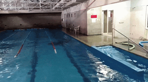 earthquake GIF