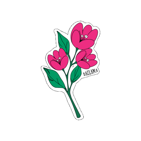 Flower Sticker by ÇeşmeBazlamaKahvaltı