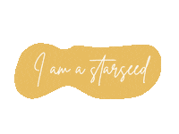 iamambervaldez healer starseed lightworker amber valdez Sticker