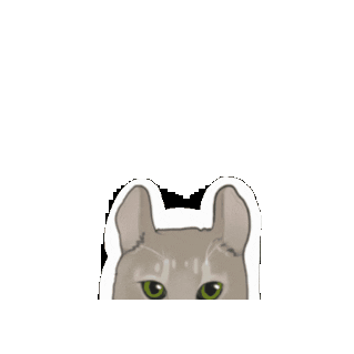 Cat Kitty Sticker by Portland Leather
