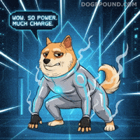 Dog Wow GIF by Doge Pound