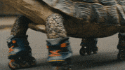 Rollerblading Feel Good GIF by Avanti West Coast
