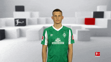 Werder Bremen Football GIF by Bundesliga