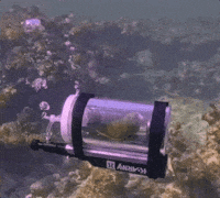 Deep Water Ocean GIF by slicedbread