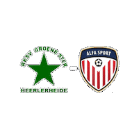 Sport Heerlen Sticker by Groene ster