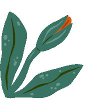 Flower Blooming Sticker by Sophie Potter