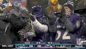 National Football League GIF by NFL