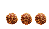Cookies Jezyki Sticker by Jeżyki Ciastka