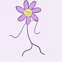 Dance Dancing GIF