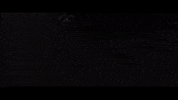 Wwwbcilitycom GIF by BCILITY