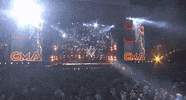 cmafest GIF by CMA Fest: The Music Event of Summer
