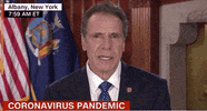 Andrew Cuomo GIF by GIPHY News