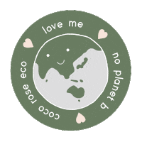 No Planet B Earth Sticker by Coco Rose Eco