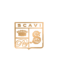 Wine Prosecco Sticker by SCAVI&RAY