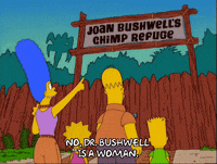 homer simpson GIF
