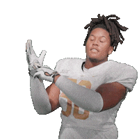 Ncaa Football Sticker by UCF Knights