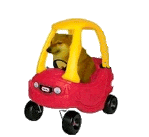 Cheemsmeme Sticker by Revicheems