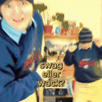 sallyshobbies dance swag dans wack GIF