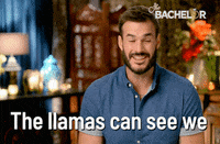 Thebachelor GIF by The Bachelor Australia