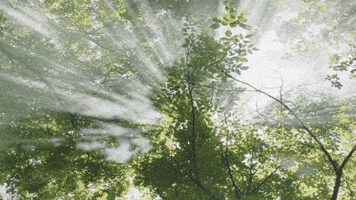 3D Animated Venti GIF