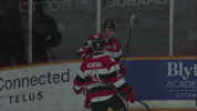 hockey ohl GIF by Ottawa 67's