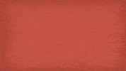 rewiredotorg pbs photos memories infographic GIF