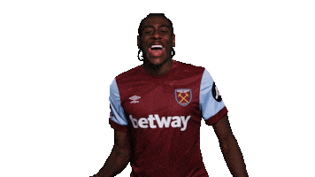 Premier League Sport Sticker by West Ham United