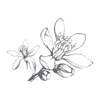 Sticker Flower Sticker by K. Hall Studio
