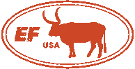 road trip travel Sticker by EF Education First
