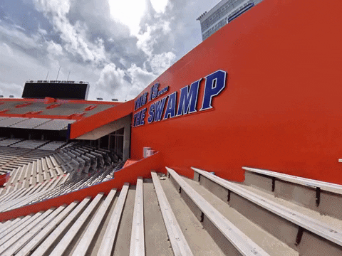 Gogators GIF by Florida Gators