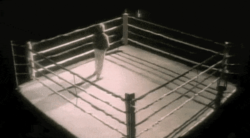 momma said knock you out GIF by LL Cool J 