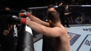 ufc 220 mma GIF by UFC