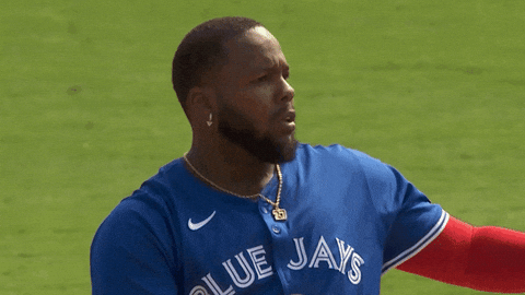 Come On What GIF by Toronto Blue Jays