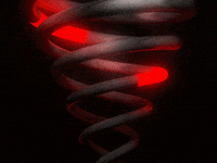 design loop GIF by Jake 