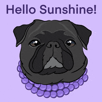 Dogs Love GIF