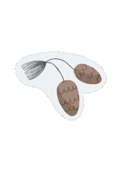 Christmas Fall Sticker